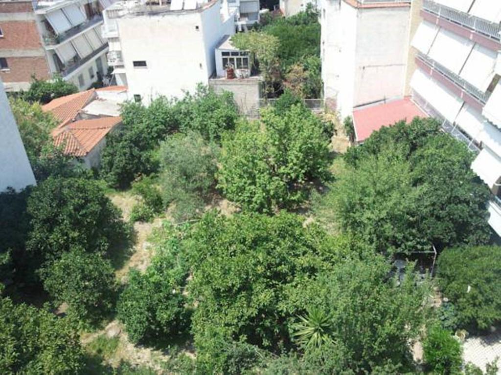 Foivos Otel Loutra Edipsou  Oda fotoğraf